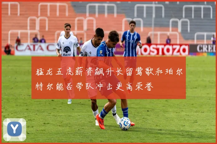 猛龙五虎薪资飙升长留莺歌和珀尔特尔能否带队冲击更高荣誉