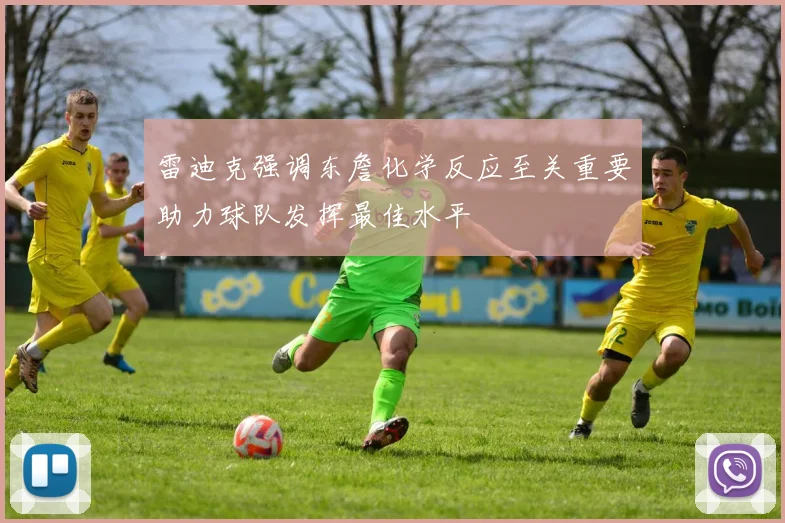 雷迪克强调东詹化学反应至关重要助力球队发挥最佳水平