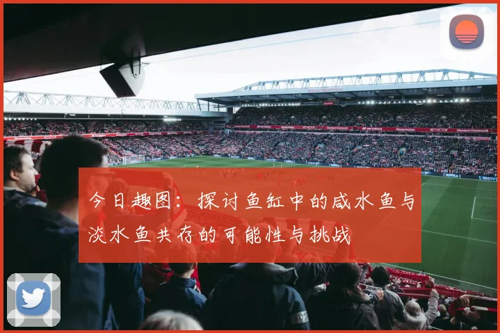 今日趣图：探讨鱼缸中的咸水鱼与淡水鱼共存的可能性与挑战