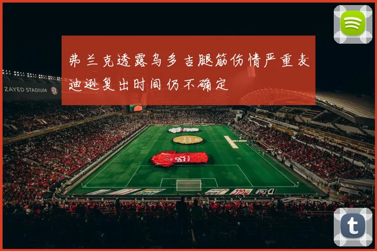 弗兰克透露乌多吉腿筋伤情严重麦迪逊复出时间仍不确定
